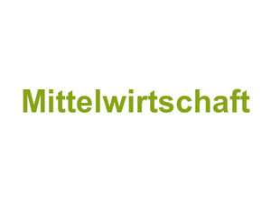 Mittelwirtschaft Logo