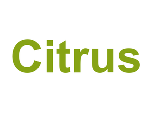 Citrus Logo