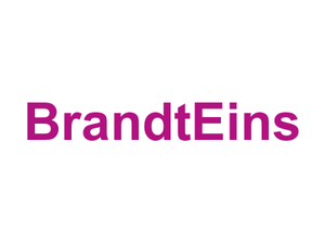 BrandtEins Logo