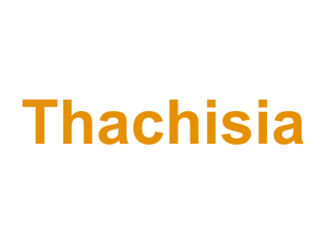 Thachisia Logo