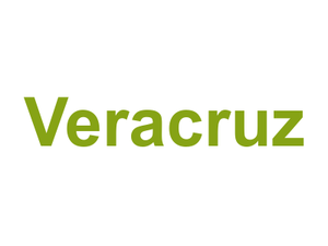 Veracruz Logo