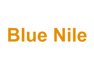 Blue Nile Logo