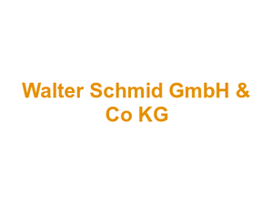 Metzgerei Global-Fleisch Walter Schmid GmbH & Co KG Logo