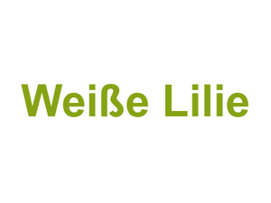 Weiße Lilie Logo