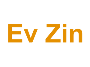 Ev Zin Logo