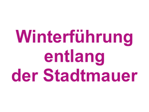 Winterführung entlang der Stadtmauer Logo