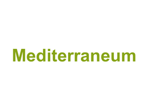 Mediterraneum Logo
