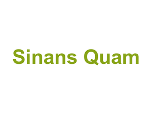Sinans Quam Logo