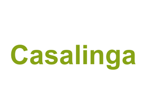 Casalinga Logo
