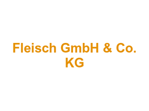 Metzgerei Standard Fleisch GmbH & Co. KG Logo