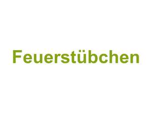 Feuerstübchen Logo