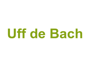 Uff de Bach Logo
