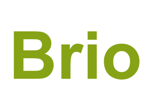 Brio Logo