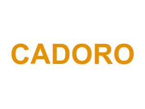 CA'D'ORO Logo