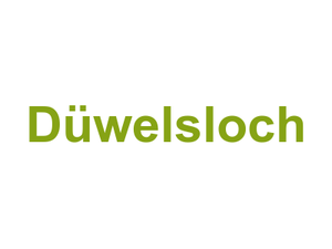 Düwelsloch Logo