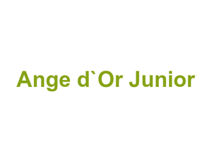 Ange d`Or Junior Logo