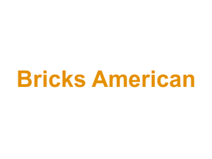 Bricks American Logo