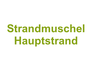 Strandmuschel Hauptstrand Logo