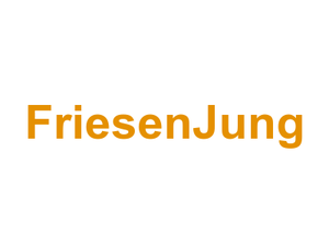 FriesenJung Logo