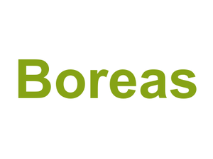 Boreas Logo