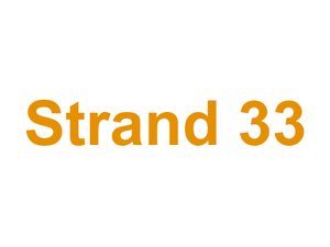 Strand 33 Logo
