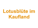 Lotusblüte im Kaufland Logo