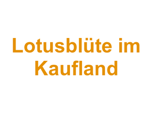 Lotusblüte im Kaufland Logo