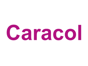 Caracol Logo