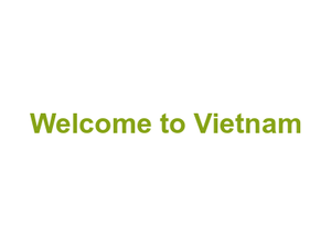 Welcome to Vietnam Logo