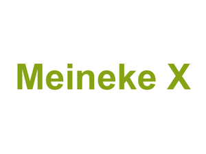 Meineke X Logo