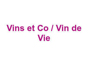 Vins et Co / Vin de Vie Logo