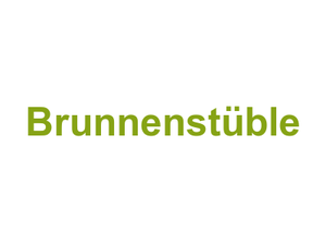 Brunnenstüble Logo