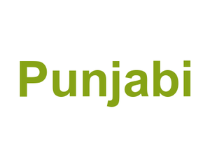 Punjabi Logo