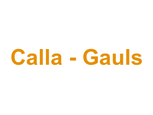 Calla - Gauls Logo