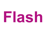 Flash Logo