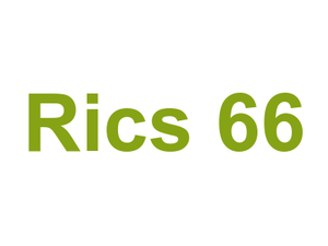Ric's 66 Logo