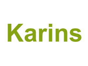 Karin's Logo