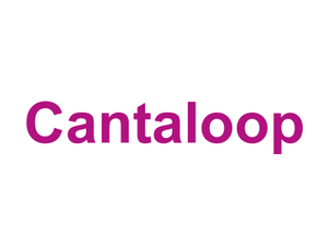 Cantaloop Logo