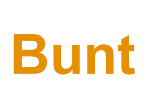 Bunt Logo