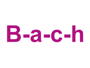 B-a-c-h Logo