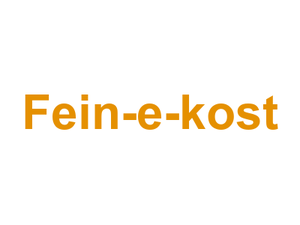 Fein-e-kost Logo