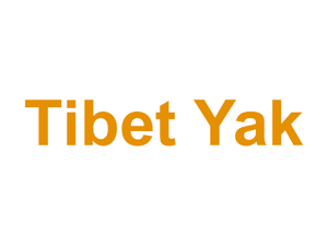 Tibet Yak Logo