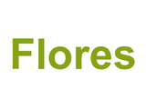 Flores Logo