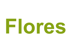 Flores Logo