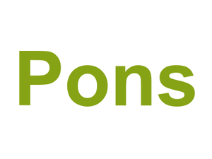 Pons Logo