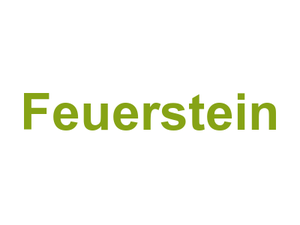 Feuerstein Logo