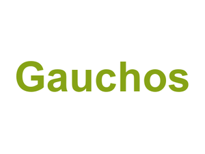 Gauchos Logo
