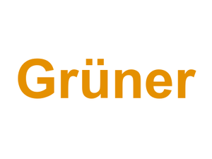 Grüner Logo