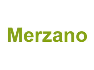 Merzano Logo