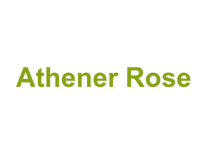 Athener Rose Logo